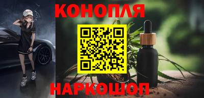 Альфа ПВП Ярославль
